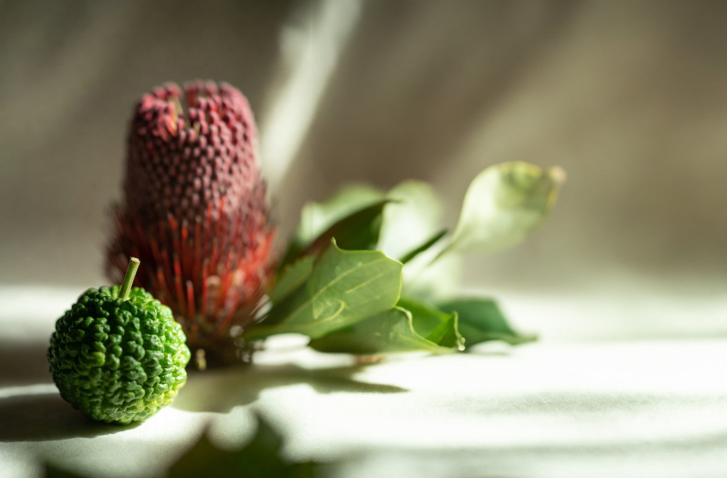 Bergamot and Banksia