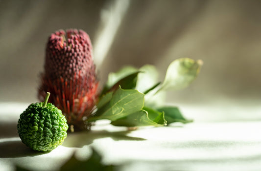 Bergamot and Banksia